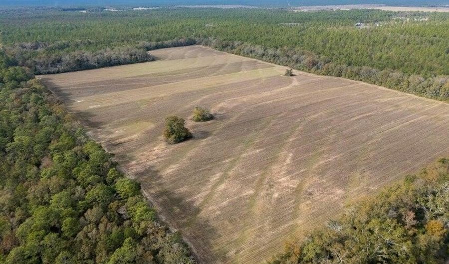 N Bob Brooks Road, Baker, FL 32531 - 0 Beds, 0 Bath