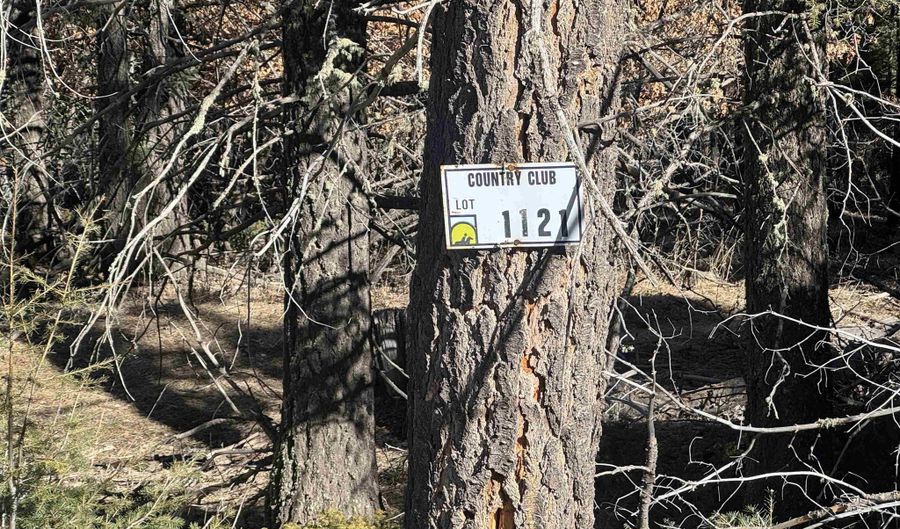 Lot 1121 Cochiti Circle, Angel Fire, NM 87710 - 0 Beds, 0 Bath
