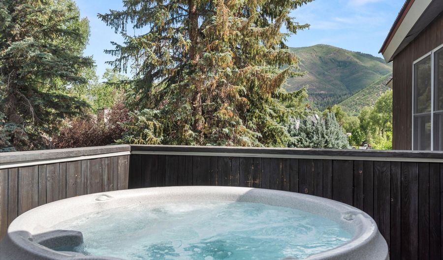 939 E Cooper Ave B, Aspen, CO 81611 - 4 Beds, 5 Bath