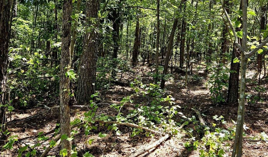 0 Carl Midway Church Rd, Auburn, GA 30011 Other 13 of Photos MLS