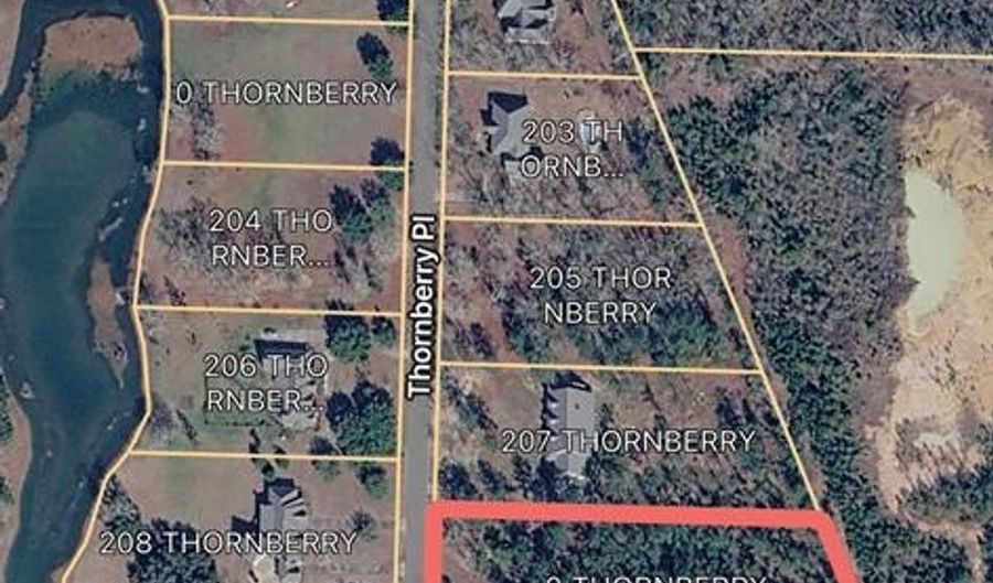 209 Thornberry Pl, Ashford, AL 36312 - 0 Beds, 0 Bath