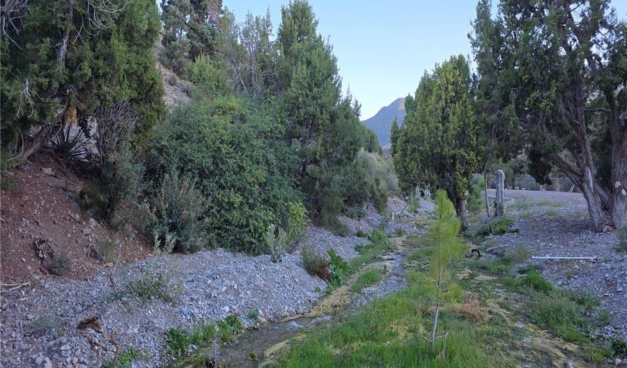 Bugling Bull Road, Cold Creek, NV 89124 - 0 Beds, 0 Bath