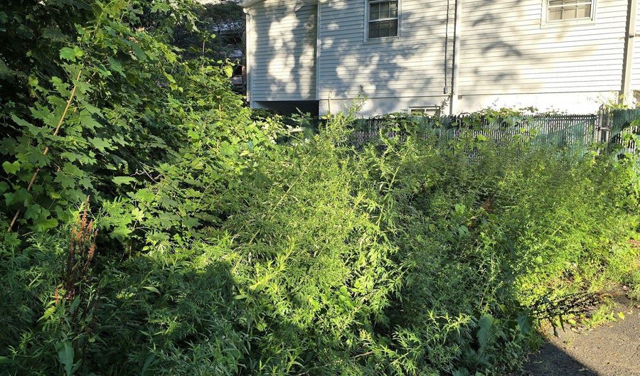 63 A Main St, Danbury, CT 06810 - 0 Beds, 0 Bath