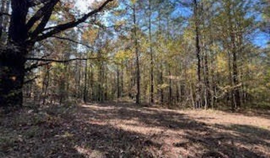 Perry Chapel Road, Ashland, MS 38603 - 0 Beds, 0 Bath