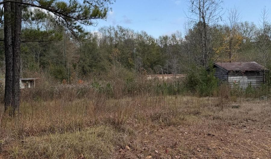 393 SW Cripple Ln, Brookhaven, MS 39601 - 0 Beds, 0 Bath