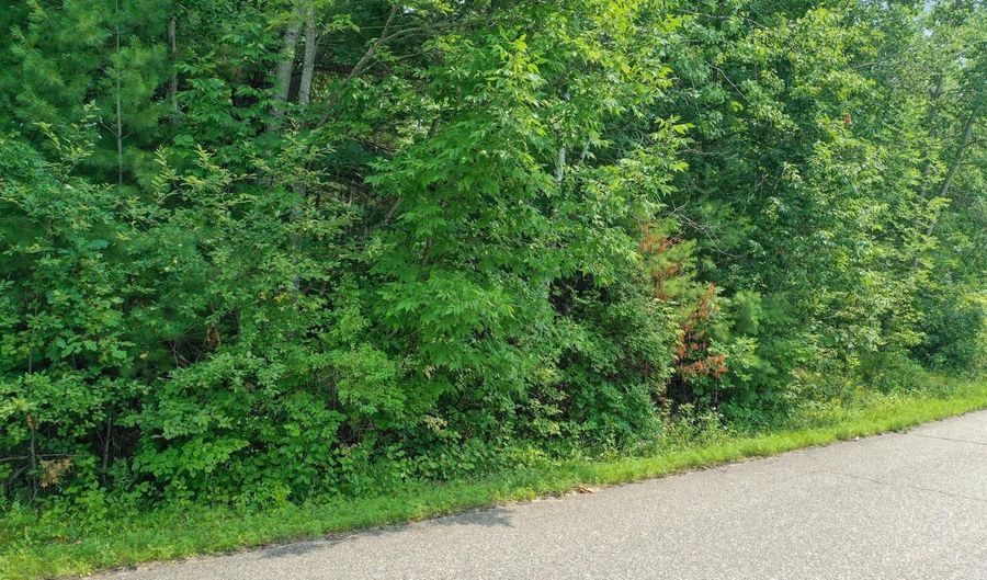 16180 THELEN Rd, Mountain, WI 54149 - 0 Beds, 0 Bath
