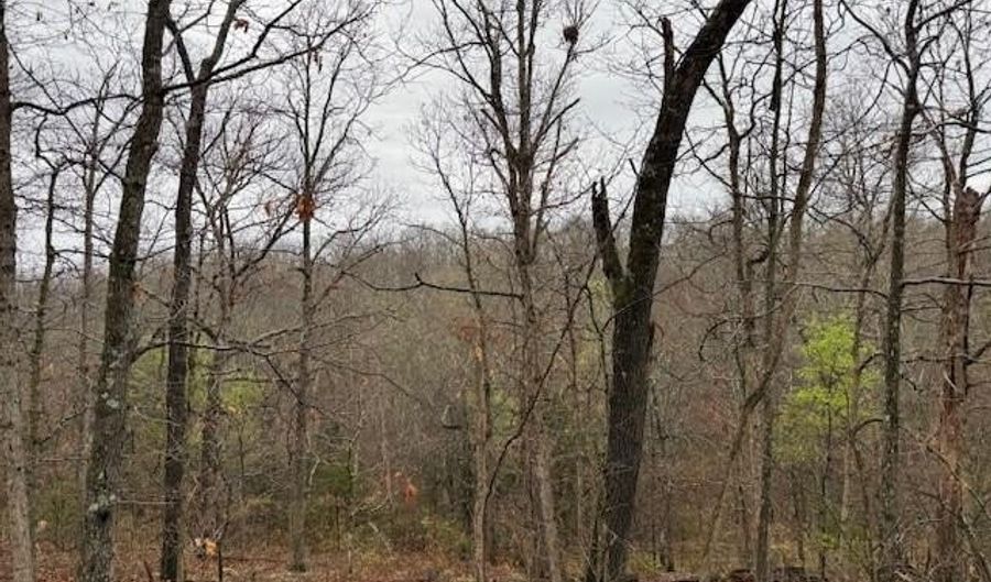 Lot 42 Lookout DR, Bella Vista, AR 72714 - 0 Beds, 0 Bath