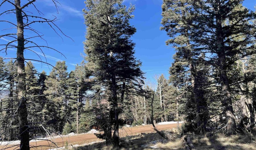 Lot 1298A Pleasant Valley Overlook, Angel Fire, NM 87710 - 0 Beds, 0 Bath