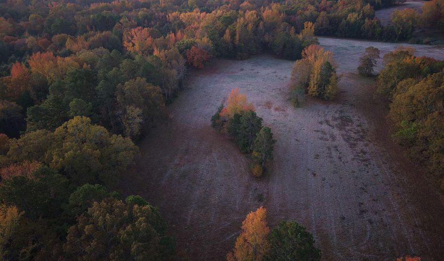 Black Hill Road, Bee Branch, AR 72013 - 0 Beds, 0 Bath