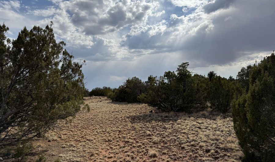 291 County Rd 8052, Concho, AZ 85924 - 0 Beds, 0 Bath