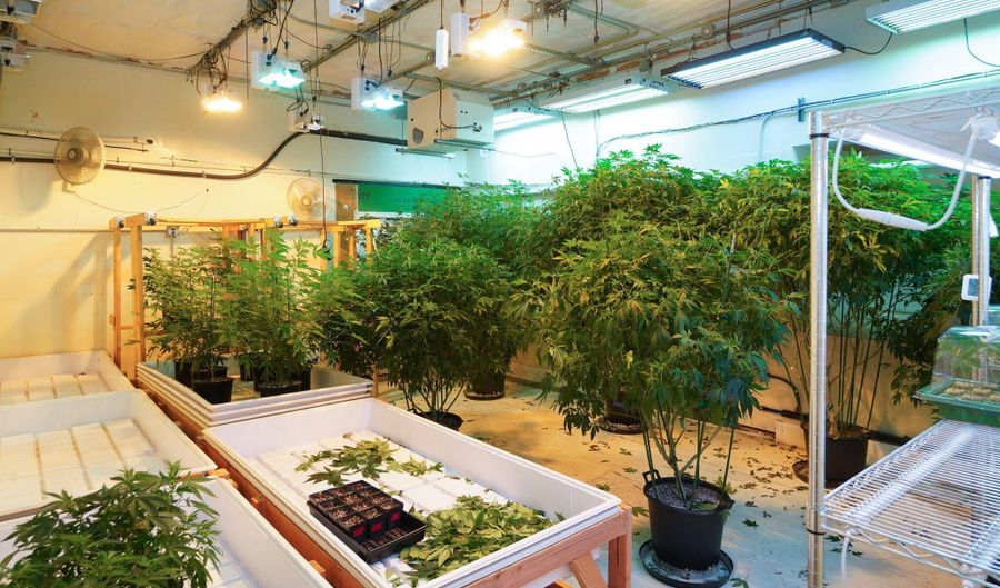 244 Sanford Rd, Alfred, ME 04002 - 0 Beds, 0 Bath