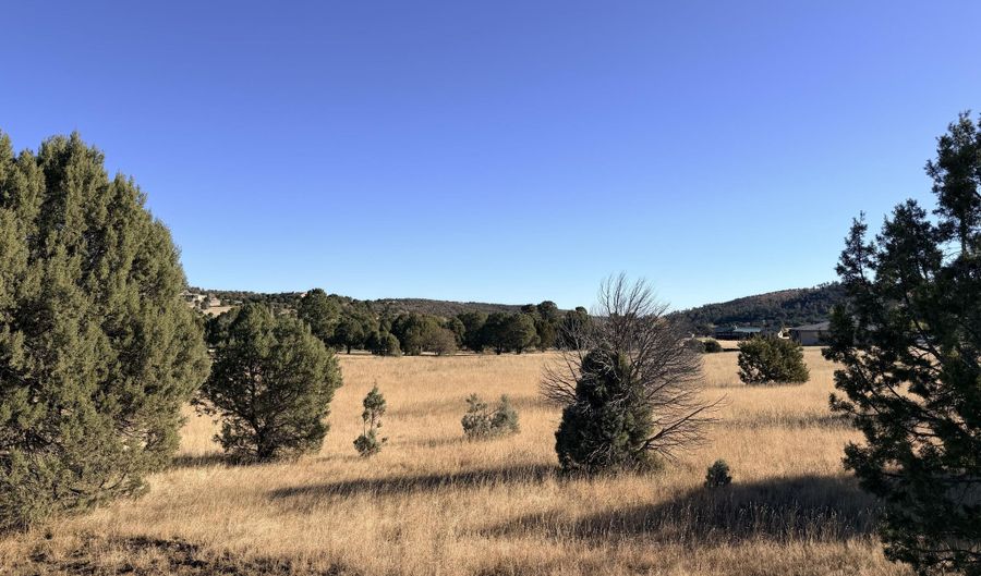 270 A Saddleback Rd Lot 270A, Alto, NM 88312 - 0 Beds, 0 Bath