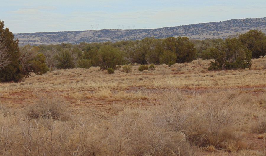 42 N5576, Concho, AZ 85924 - 0 Beds, 0 Bath