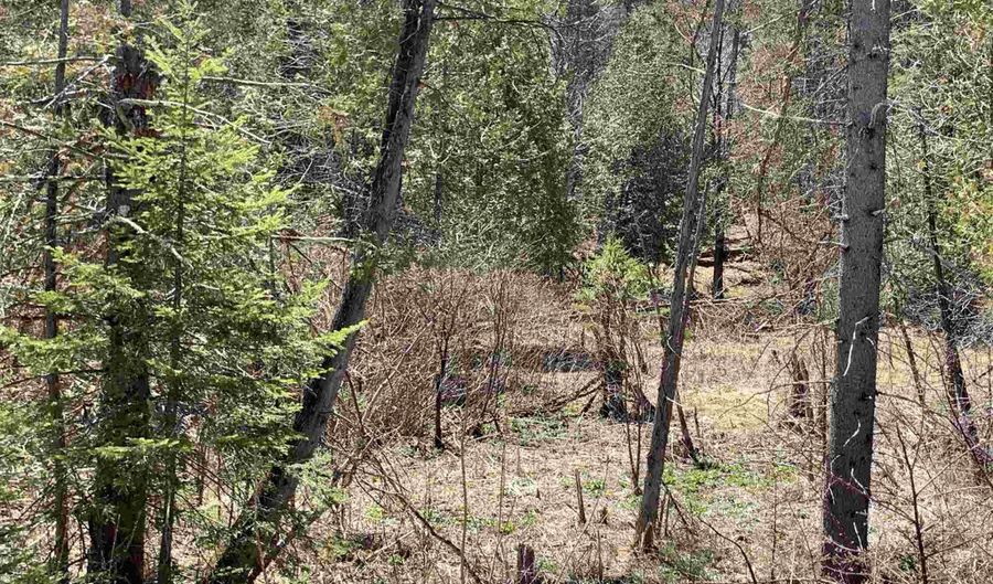 00 E Darling Hill Rd Lot #2, Burke, VT 05832 - 0 Beds, 0 Bath