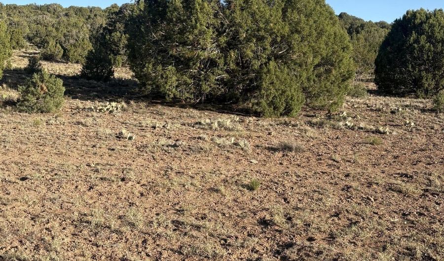 N5547, Concho, AZ 85924 - 0 Beds, 0 Bath