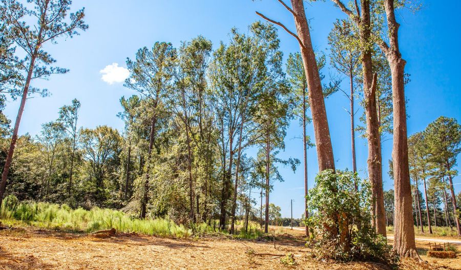 535 Rabbit Pen Dr, Appling, GA 30802 - 0 Beds, 0 Bath