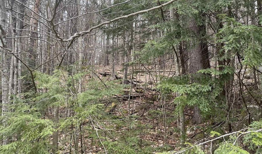 10-4 2 David Thompson Dr, Campton, NH 03223 - 0 Beds, 0 Bath