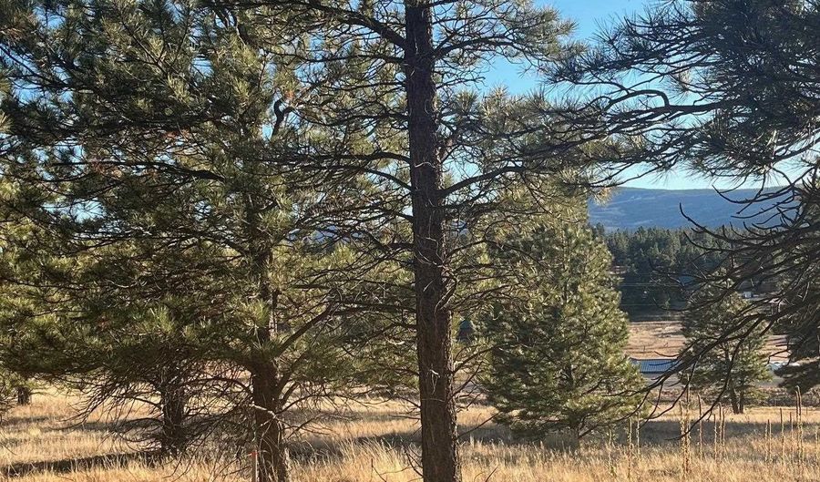 1 And 2 Lower Rd, Angel Fire, NM 87710 - 0 Beds, 0 Bath