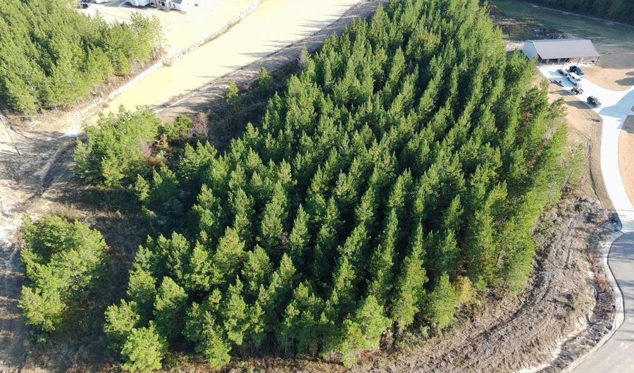 903 Old Glory Ln Lot 27, Brandon, MS 39047 - 0 Beds, 0 Bath