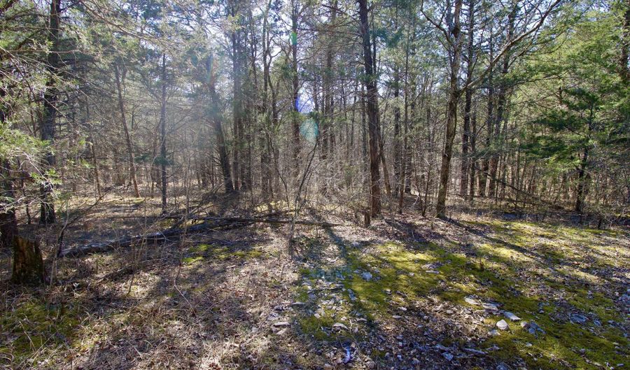 000 Eagles Nest Landing Ln, Bath Springs, TN 38311 - 0 Beds, 0 Bath
