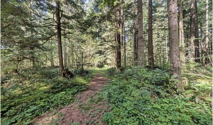 62955 E MOUNTAIN COUNTRY Ln, Brightwood, OR 97011 - 0 Beds, 0 Bath