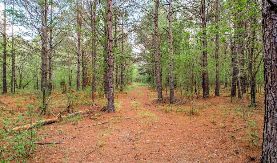 6995 Cobbham Rd, Appling, GA 30802 - 0 Beds, 0 Bath
