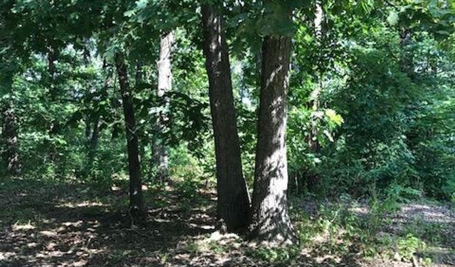 Lot 21 Lakeview Drive, Anderson, MO 64831 - 0 Beds, 0 Bath