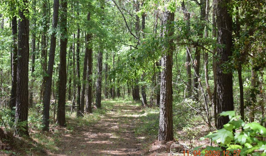 CAMERON ROAD, Bastrop, LA 71220 - 0 Beds, 0 Bath