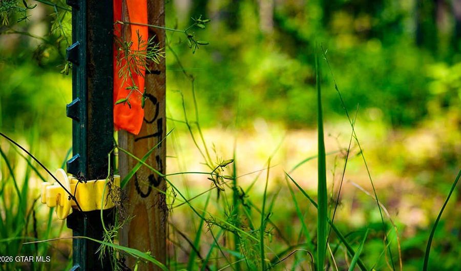 Cypress Pointe Drive lot 3, Brooksville, MS 39739 - 0 Beds, 0 Bath