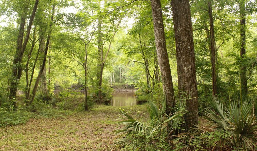 5451 Wire Rd, Branchville, SC 29432 - 2 Beds, 2 Bath