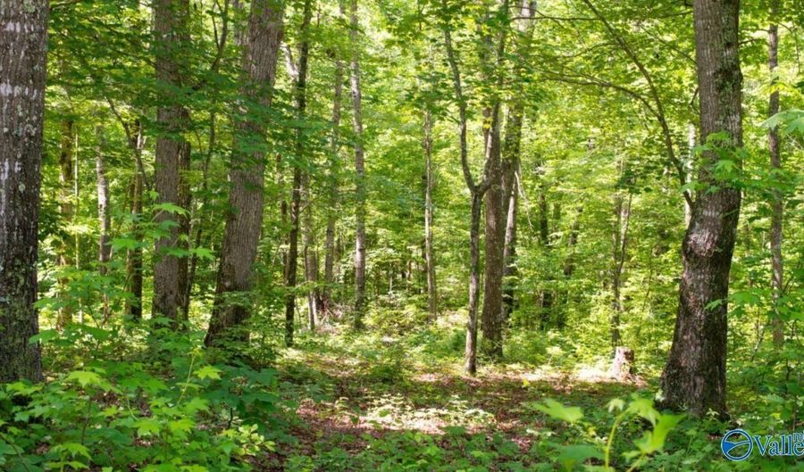 1 County Road 31, Ashland, AL 36251 - 0 Beds, 0 Bath