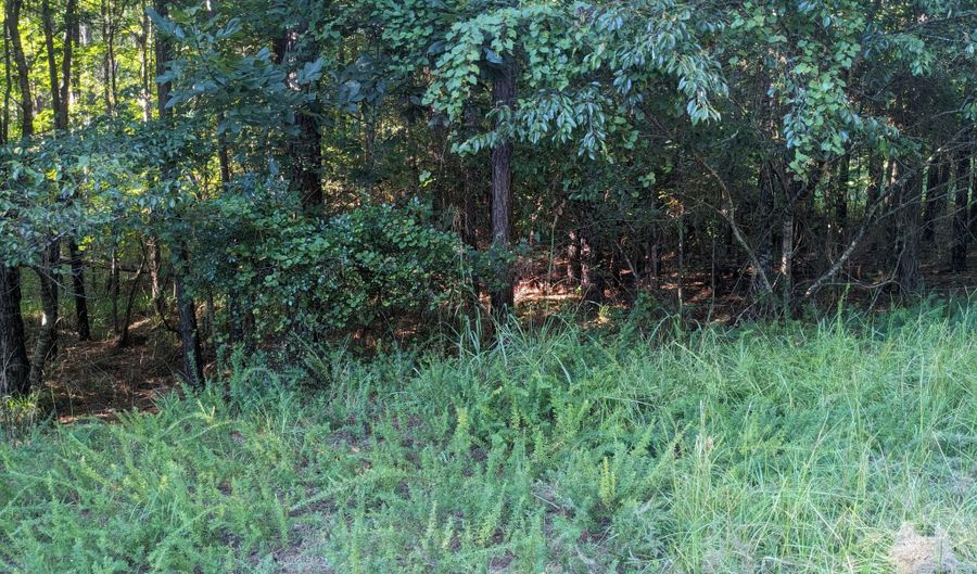 Lot 24 SAVANNAH RIDGE Road, Lincolnton, GA 30817 - 0 Beds, 0 Bath