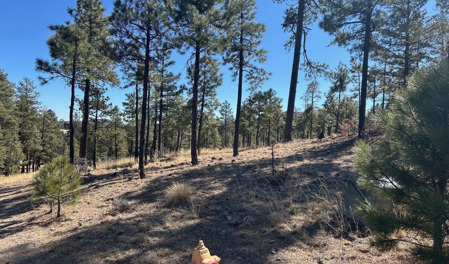 10 County Road 2193, Alpine, AZ 85920 - 0 Beds, 0 Bath