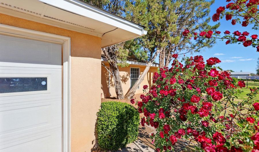 1595 W BOSQUE Loop, Bosque Farms, NM 87068 - 3 Beds, 2 Bath