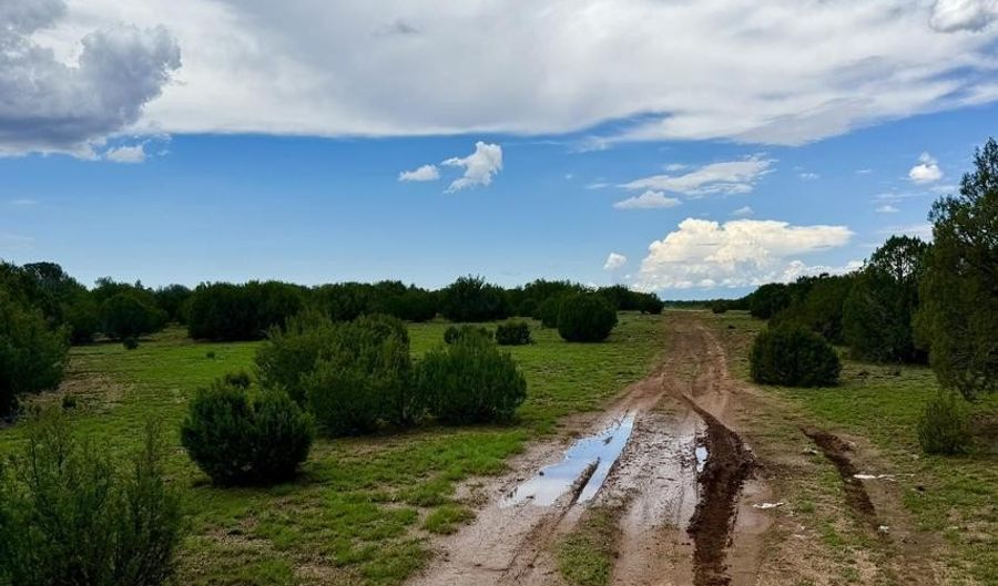 116 Co Rd 8127, Concho, AZ 85924 - 0 Beds, 0 Bath
