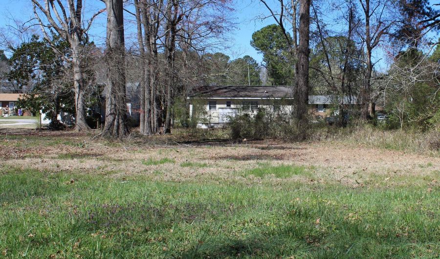 17 Acre Hill St, Ahoskie, NC 27910 - 0 Beds, 0 Bath