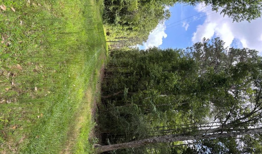 00 Ebenezer Church Rd, Bassfield, MS 39421 - 0 Beds, 0 Bath