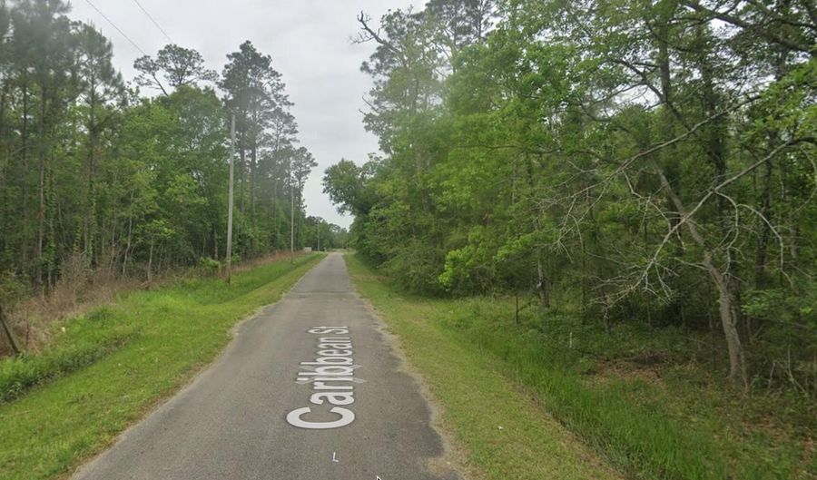 4261 Carribean St, Bay St. Louis, MS 39520 - 0 Beds, 0 Bath