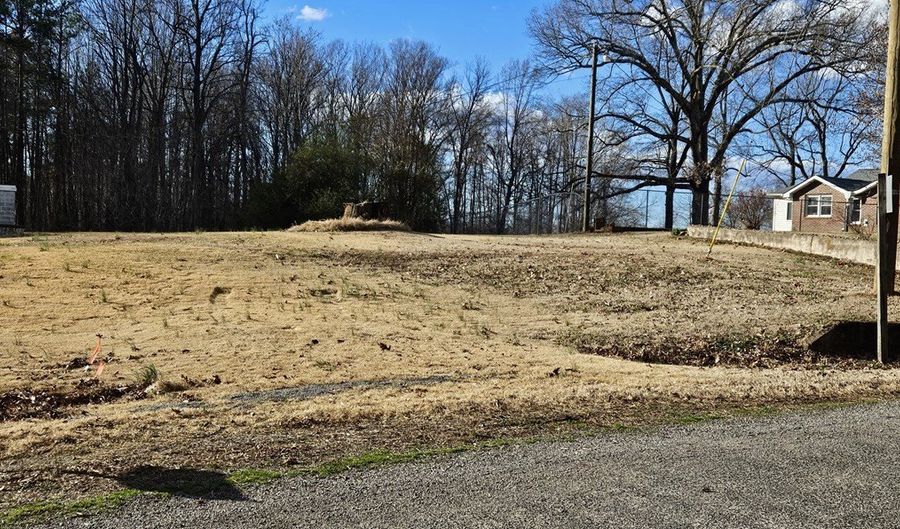 SOUTH AMELIA AVENUE, Amelia Court House, VA 23002 - 0 Beds, 0 Bath