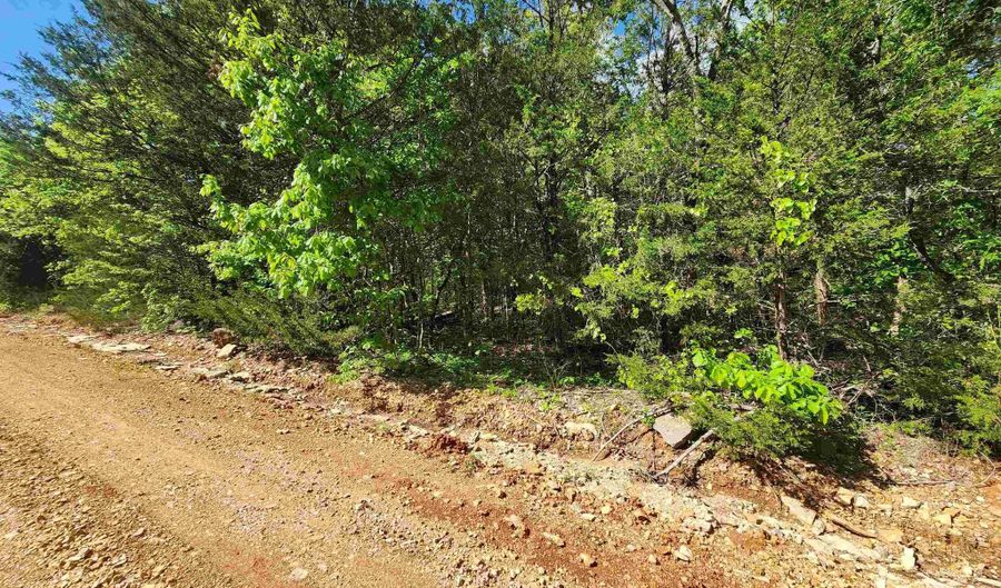 Strawberry Valley Road, Ash Flat, AR 72513 - 0 Beds, 0 Bath