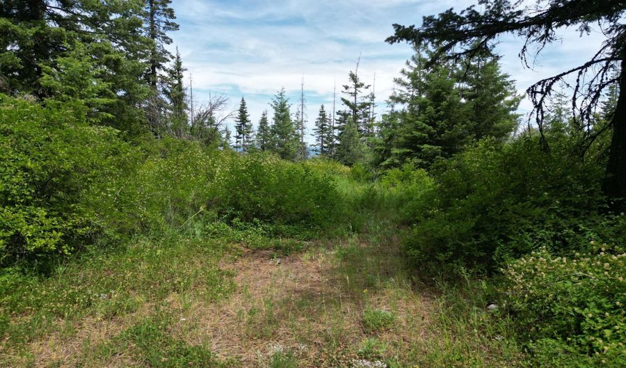 NKA INITIAL PEAK Rd, Cataldo, ID 83810 - 0 Beds, 0 Bath