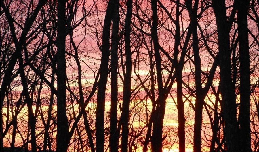 114 Daniel Trce, Burlington, CT 06013 - 4 Beds, 3 Bath