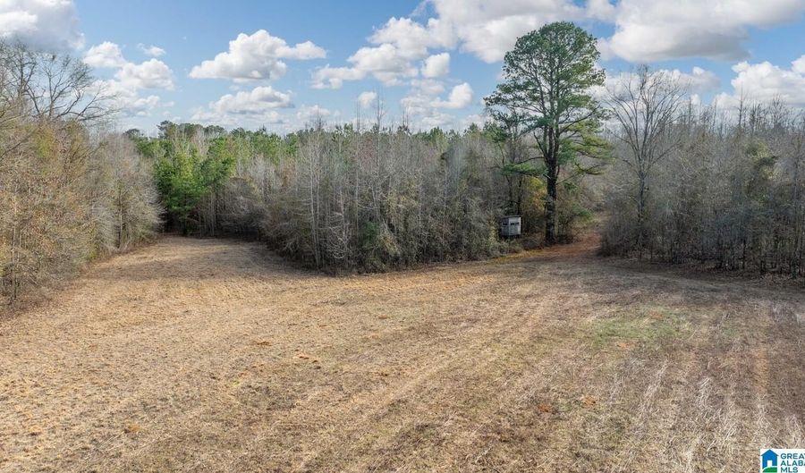 BRUSH CREEK DRIVE lot 0, Akron, AL 35441 - 0 Beds, 0 Bath