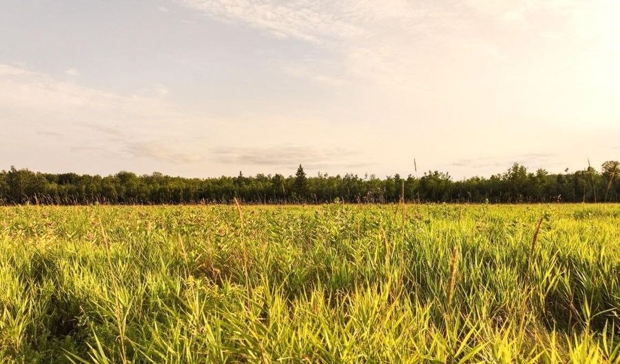 ON SURING LN unit 31 Acres 31 Acres, Argonne, WI 54511 - 0 Beds, 0 Bath