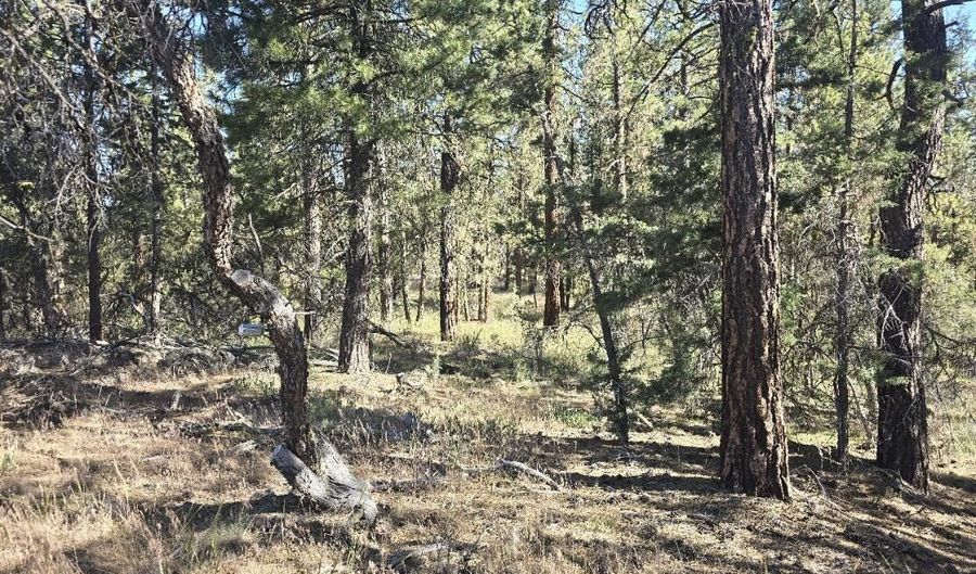 Night Owl Drive 26, Bonanza, OR 97623 - 0 Beds, 0 Bath