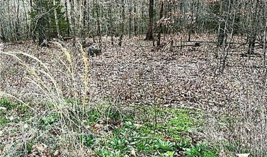Lot 43 Skipton DR, Bella Vista, AR 72714 - 0 Beds, 0 Bath