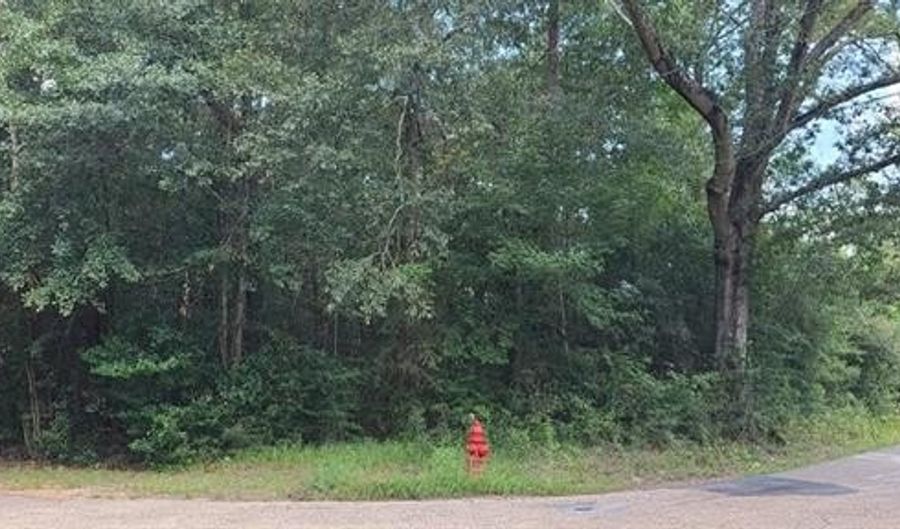 0 AVENUE I None, Bogalusa, LA 70427 - 0 Beds, 0 Bath