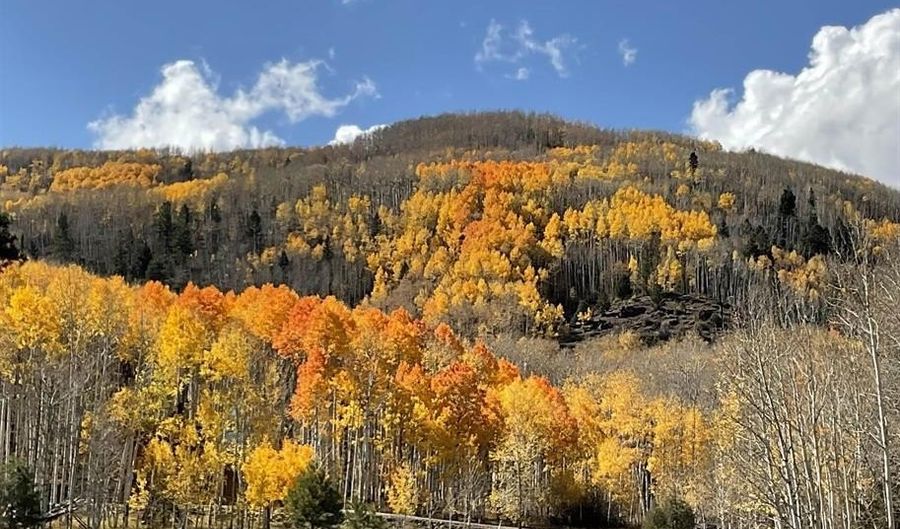 421 Elk Meadow Run, Antonito, CO 81120 - 4 Beds, 2 Bath