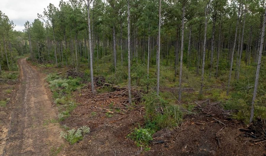 00 Pisgah Rd 2, Brandon, MS 39047 - 0 Beds, 0 Bath