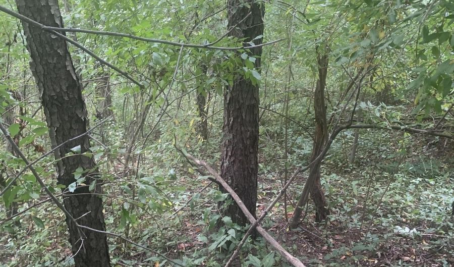 V/L Springhill Drive, Allegan, MI 49010 - 0 Beds, 0 Bath